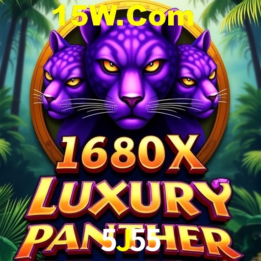 Login Interface